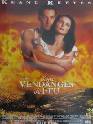 une affiche du film « Les vendanges de feu »