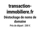 Photo 1/1 du lot