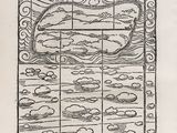 Photo 5/5 du lot