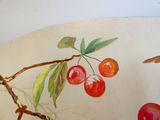 a plate with a painting of cherries on it