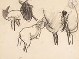 drawing of a sheep and a goat standing next to each other