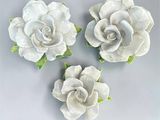 three white flowers with green leaves on a gray surface