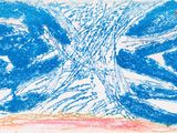 dessin représentant une fleur bleue et rose sur fond blanc