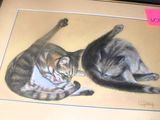 two cats that are laying down together on the floor