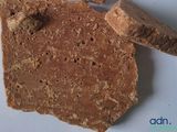 a piece of bread on a white plate with a piece of bread sticking out of it