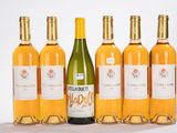 six bouteilles de vin sont alignées sur une surface blanche