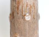 a brown vase with holes in it on a white surface