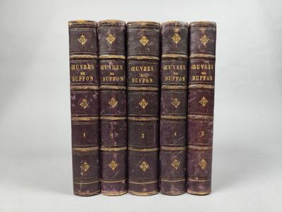 un ensemble de cinq vieux livres superposés