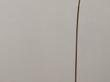 floor lamp with a marble base and a brass colored shade