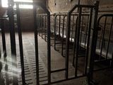 a room with a bunch of bunk beds in it
