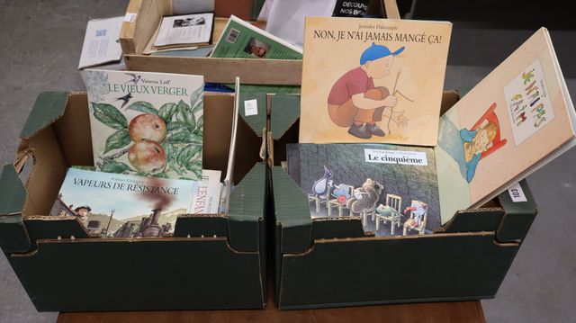 Lot de livres d’enfant (2 cartons)