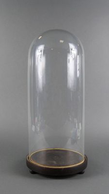une image représentant un dôme en verre reposant sur un socle en bois, posé sur une surface grise