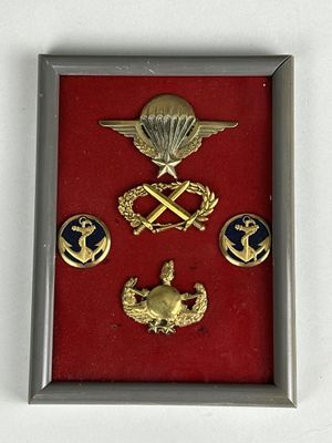 une photo d'une photo représentant des insignes dans un cadre
