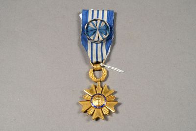 a gold medal with a blue ribbon and a star on it