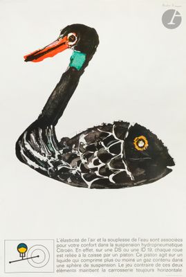 painting of a black swan with orange beak on a white background