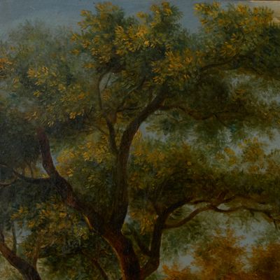 une photo d'un tableau représentant un homme sur un arbre