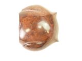 a piece of food that is sitting on a white surface