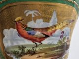someone is holding a cup with a bird painted on it