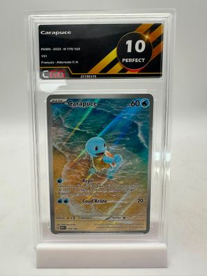 une carte à collectionner Pokémon dans un étui en plastique transparent