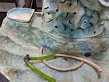a ceramic sculpture of a fish on a plate