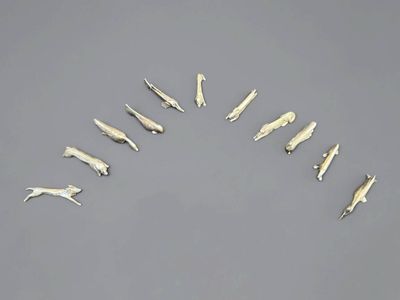 beaucoup d'alligators disposés en cercle