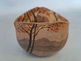 a small bowl that has a picture of a tree on it