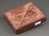an image of a small box with two holes in it