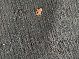 a close up of a sweater with holes in it