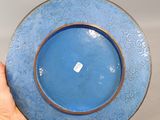 a person holding a blue plate in their hand