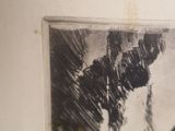 a black and white photo of a dog on a wall