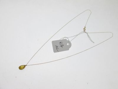 gros plan d'un collier auquel est attachée une étiquette