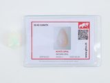 une photo d'une carte d'identité en plastique sur laquelle figure la photo d'une femme