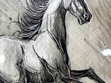 drawing of a running horse on a piece of paper with a red frame