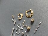 a lot of different types of ear piercings on a table