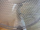 a white fan with an apple logo on it sitting on a table