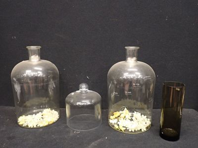 trois bocaux en verre contenant des fleurs, posés sur une table