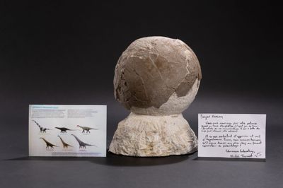 a stone sculpture of a bird with a note on it