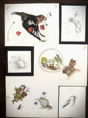 a picture of a picture of birds and other animals