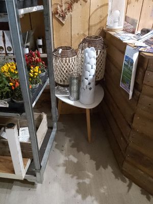a shelf with a bunch of flowers on it in a room