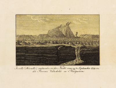 un dessin représentant un arbre au milieu de l'eau