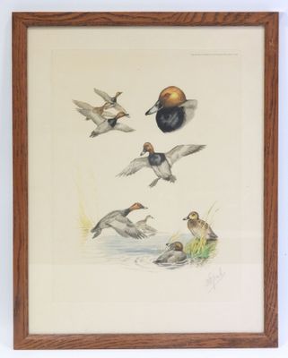 tableau représentant des canards volant au-dessus d'un plan d'eau, avec un œuf au milieu