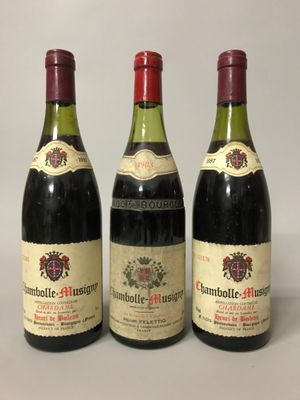 trois bouteilles de vin sont alignées sur une surface blanche