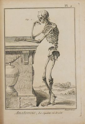 un vieux dessin en noir et blanc représentant un squelette assis à une table