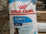 un sac de croquettes Royal Canin pour chiots posé sur une cage