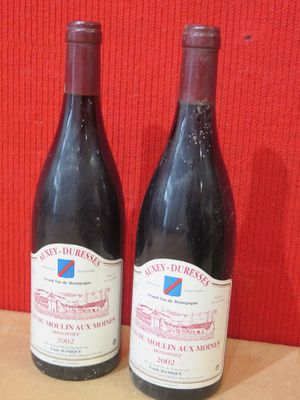 deux bouteilles de vin posées sur une table l'une à côté de l'autre