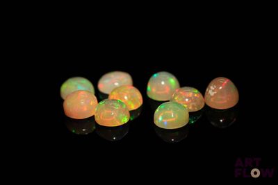 un groupe d'oplites blancs assis sur une surface noire