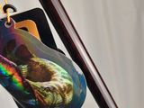 a picture of a bag with a picture of a cat hanging from it