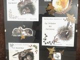 une photo d'une photo représentant des animaux exposés