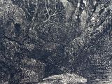 a black and white drawing of a river in the woods