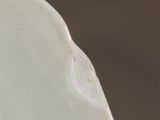 a close up view of a white vase with a bird on it